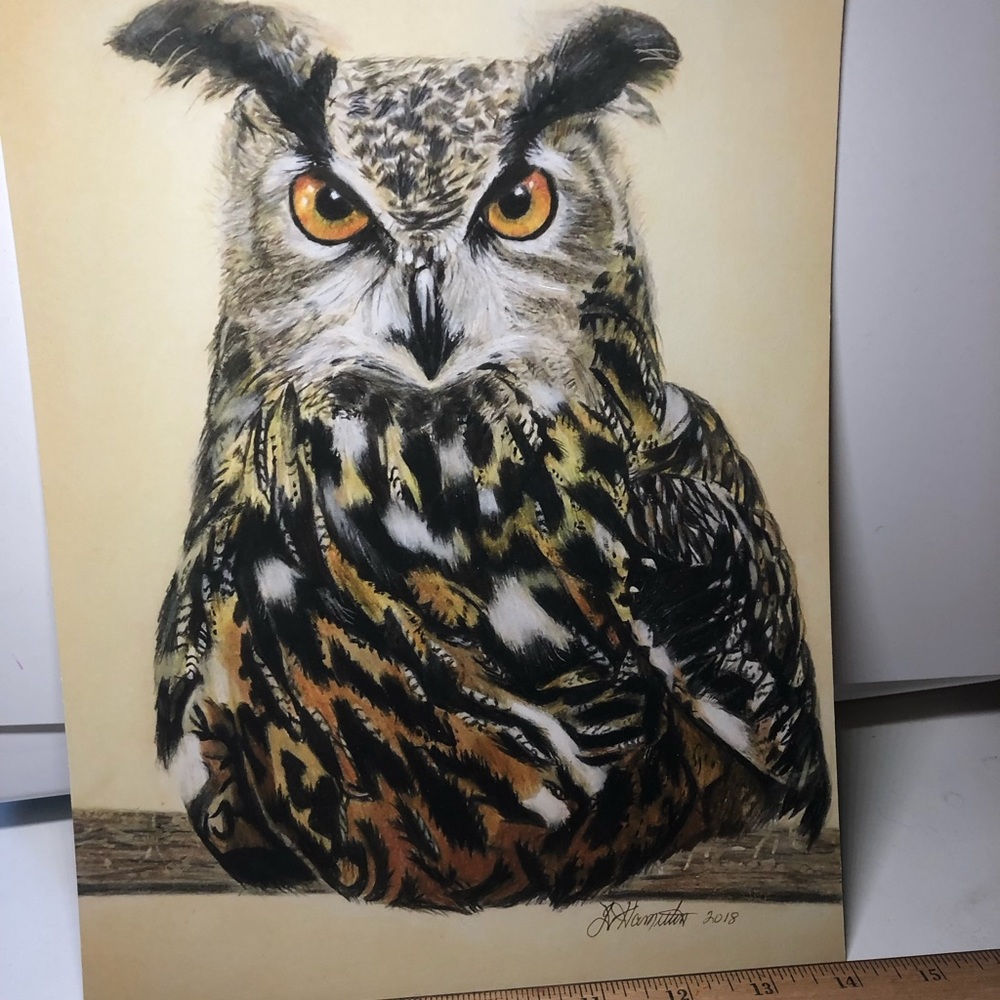 Colored pencil print, Great horned owl.